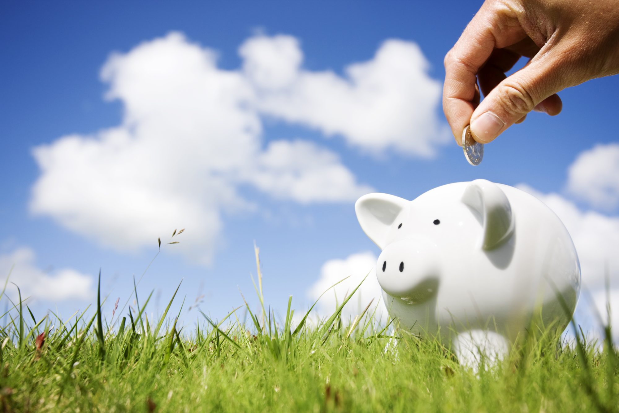 Image of a piggy bank outdoors