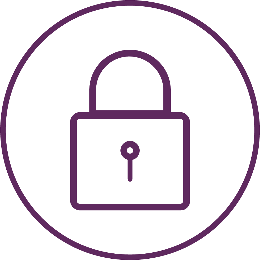 zelle lock icon