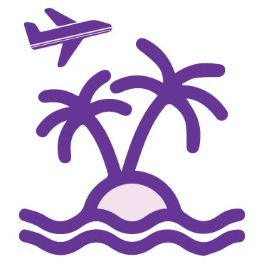 Plane over palm trees